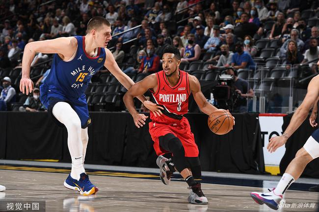 冬季运动的 冬季运动的