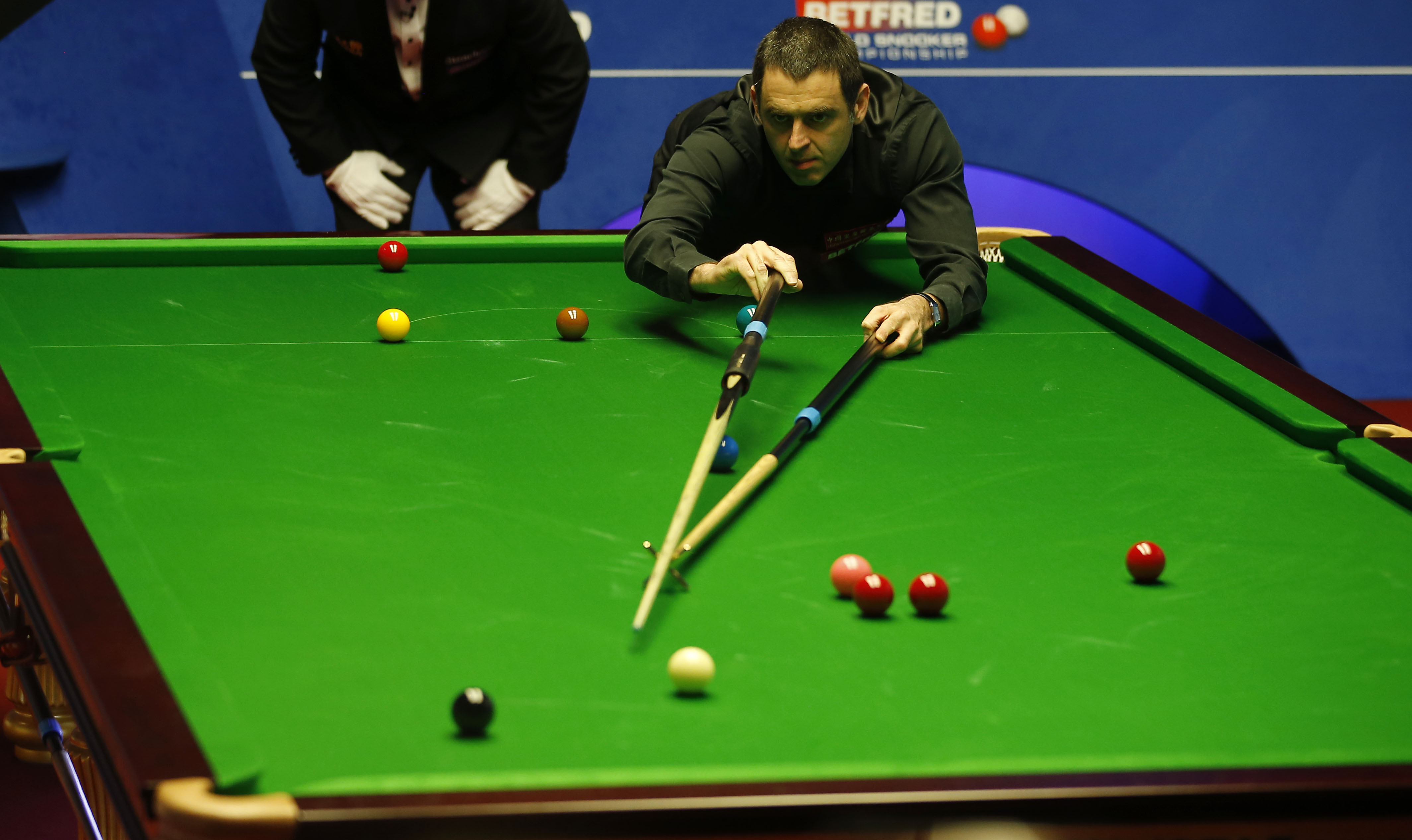 能会让鹈鹕 能会让鹈鹕