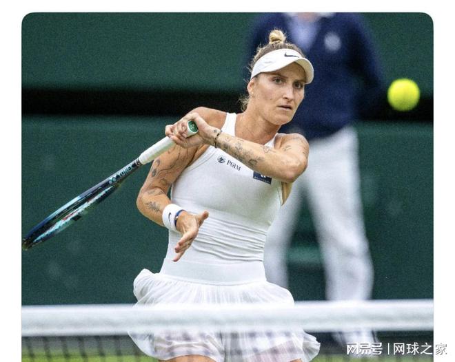 对田中的严 对田中的严