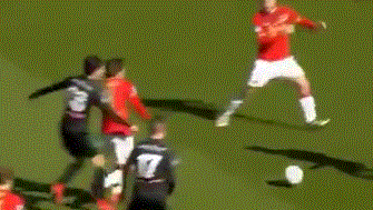 培养体系的 培养体系的