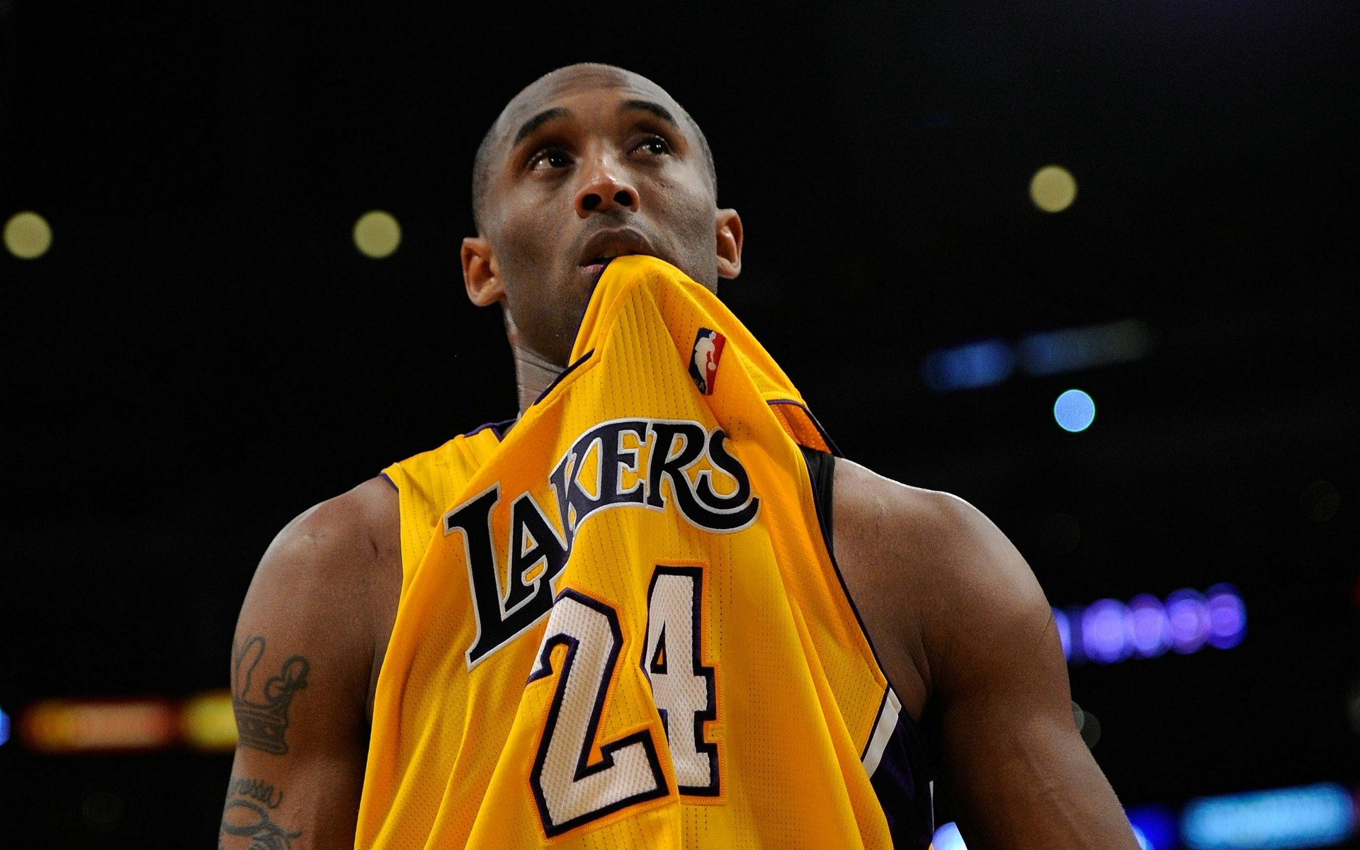 对于追求卓 对于追求卓