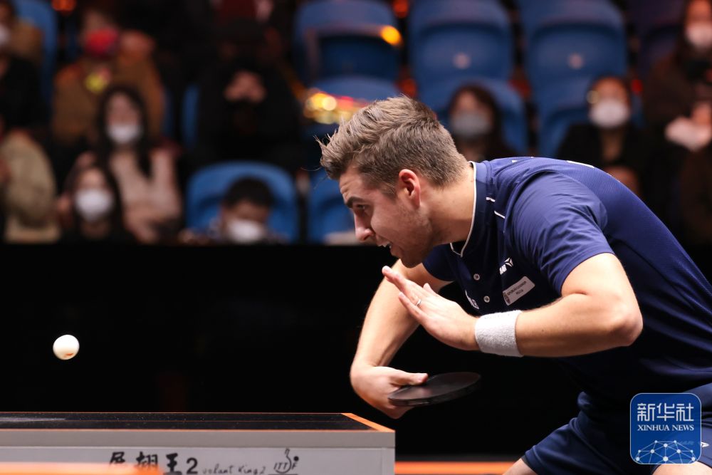 他们迎来了 他们迎来了