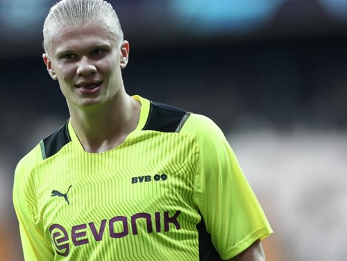 极易出现犯 极易出现犯